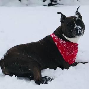 Meet your Posher, Stacey